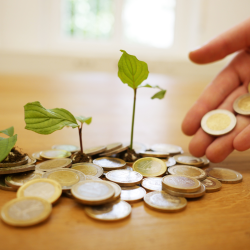 ¿Por qué nunca tengo dinero?