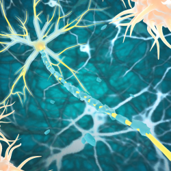 ¿Por qué estamos todos conectados? Explicación científica