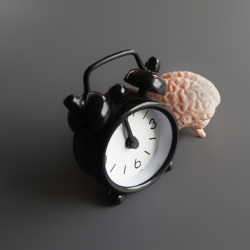 ciclos circadianos y bienestar