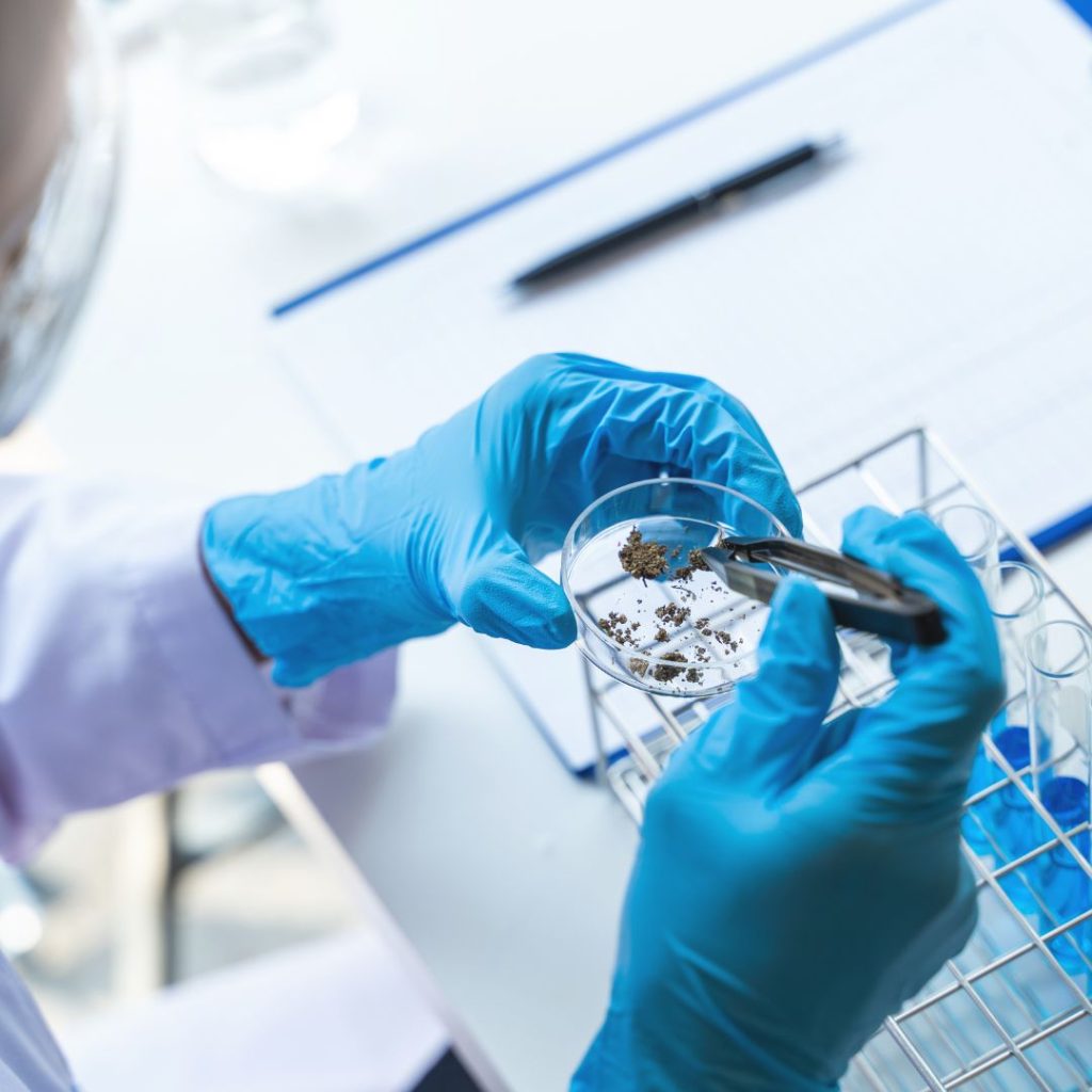 10 novedades de la ciencia
