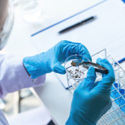 10 novedades de la ciencia